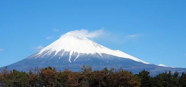 京都邮政_京都中央邮局_中央京都邮局电话号码