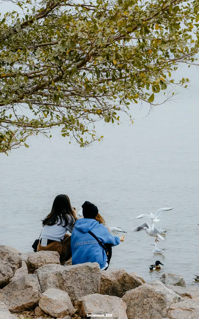 深圳海岸线徒步推荐_深圳海岸线自驾游路线_深圳海岸线徒步路线难度