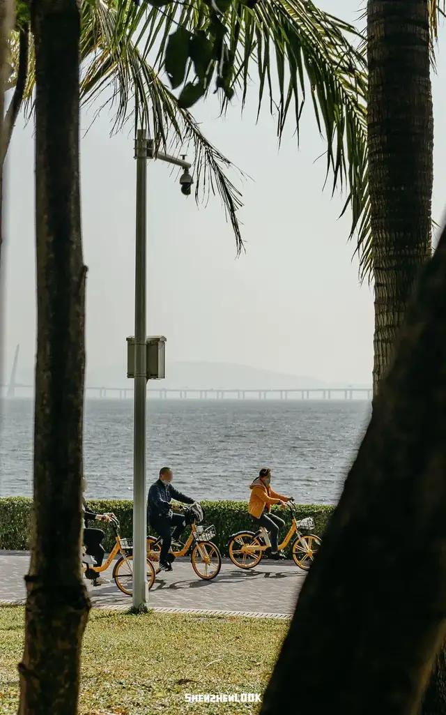 深圳海岸线自驾游路线_深圳海岸线徒步推荐_深圳海岸线徒步路线难度