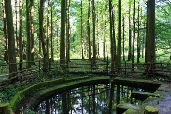 欧都纳山野度假村_欧都纳山野度假村_欧都纳山野度假村