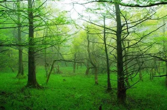 欧都纳山野度假村_欧都纳山野度假村_欧都纳山野度假村