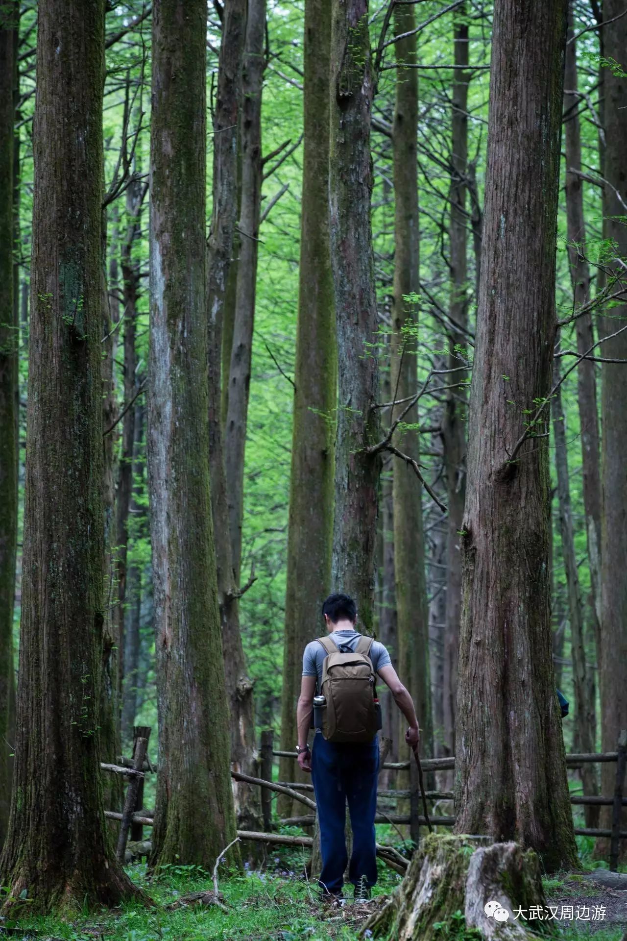 欧都纳山野度假村_欧都纳山野度假村_欧都纳山野度假村