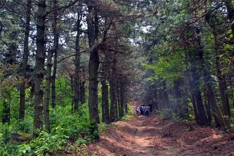 欧都纳山野度假村_欧都纳山野度假村_欧都纳山野度假村