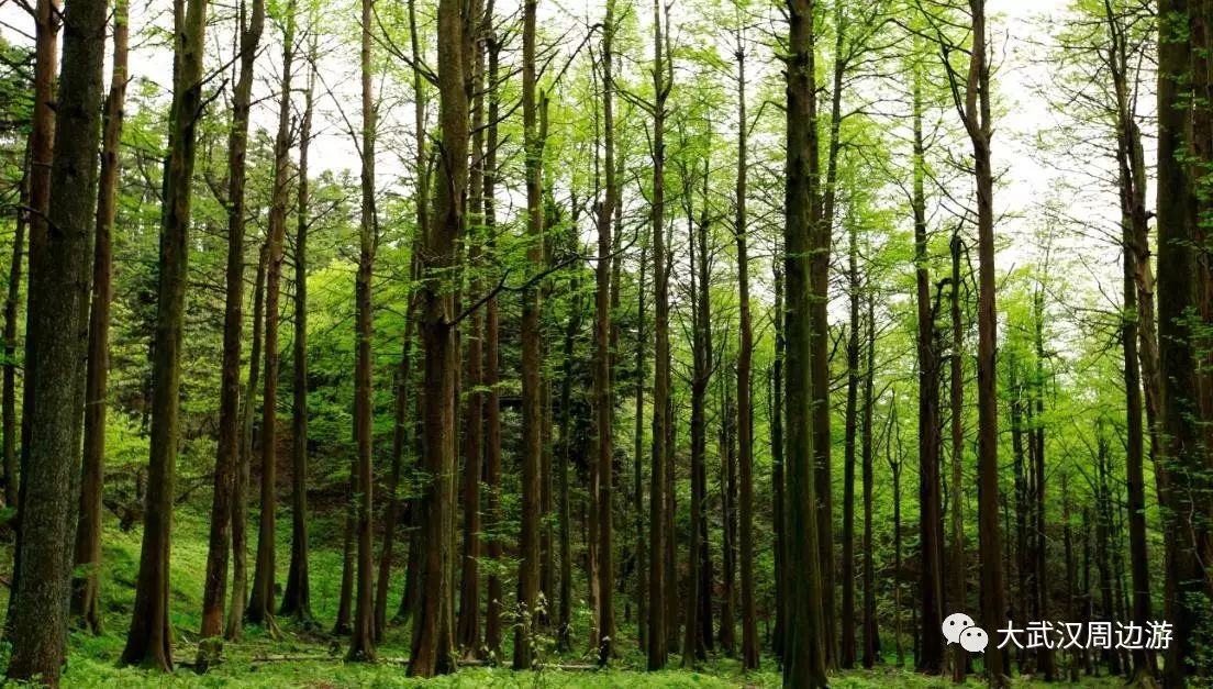 欧都纳山野度假村_欧都纳山野度假村_欧都纳山野度假村