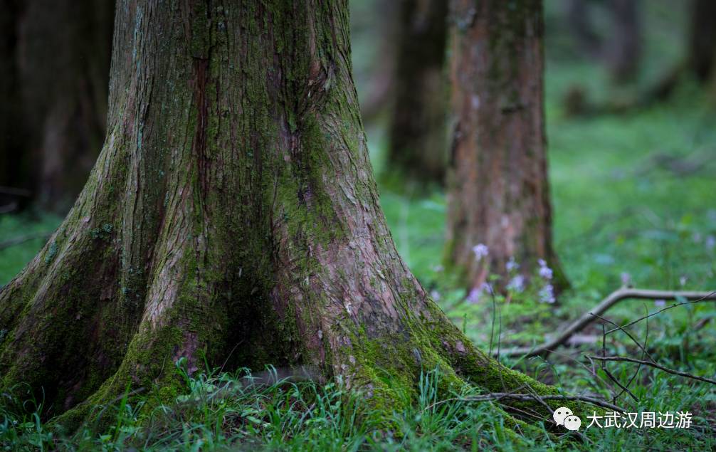 欧都纳山野度假村_欧都纳山野度假村_欧都纳山野度假村