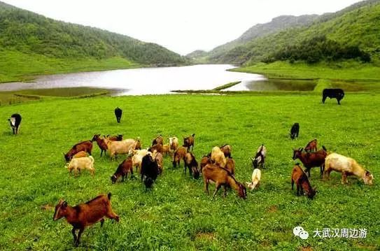 欧都纳山野度假村_欧都纳山野度假村_欧都纳山野度假村