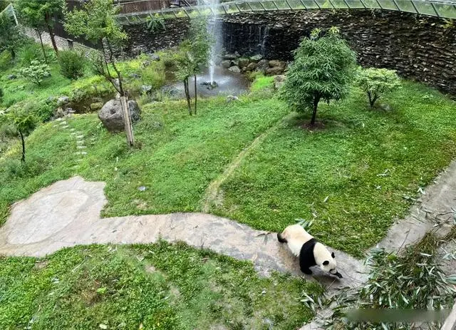 神农架小龙潭景区介绍_神农架小雨能玩吗_小神农架