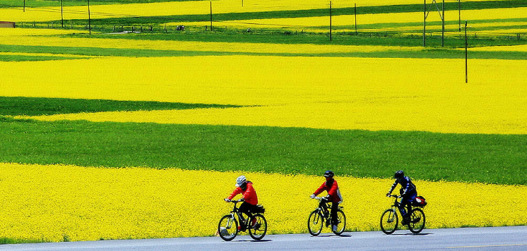 骑行十大经典路线_骑行路线经典语录短句_骑行旅行路线