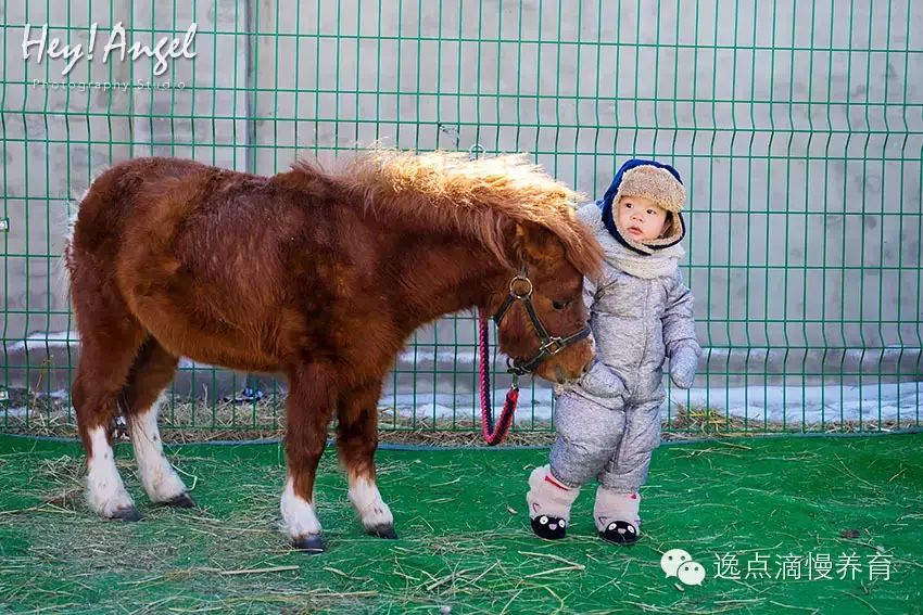 狼爪抓绒衣服怎么样_狼爪抓绒nanuk150_狼爪抓绒