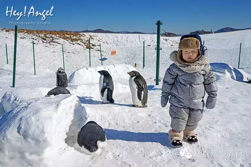 狼爪抓绒_狼爪抓绒nanuk150_狼爪抓绒衣服怎么样