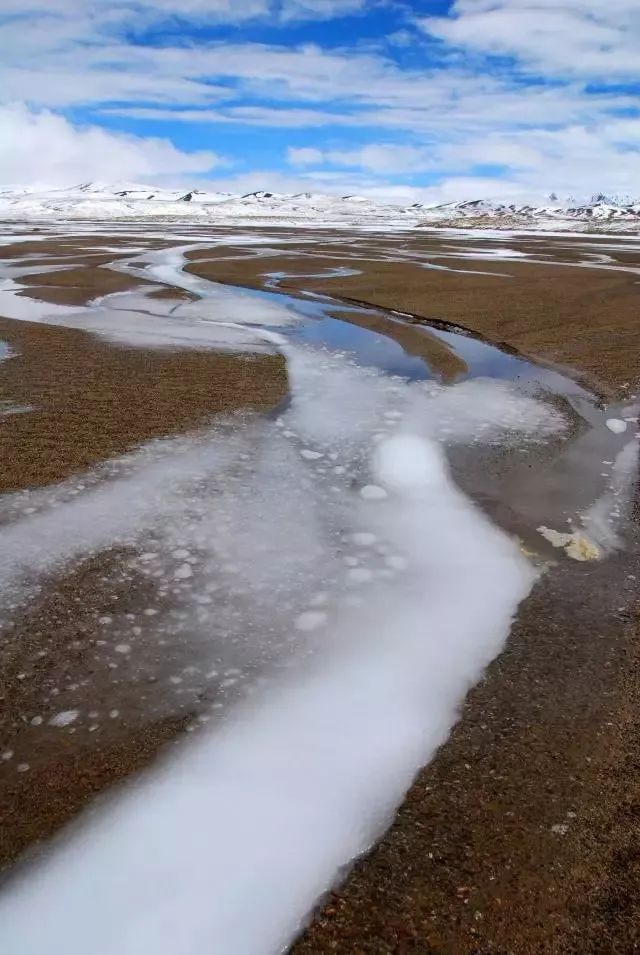 穿越羌塘无人区第一人_一个人穿越无人区_穿越无人区羌塘的生命怒放