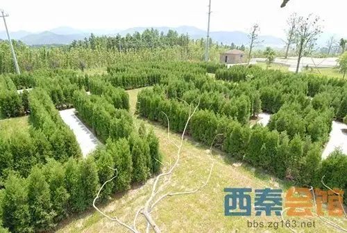 飘逸棋牌休闲娱乐中心_棋牌休闲网络游戏_花猫休闲棋牌