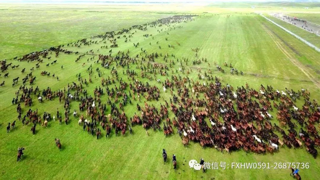 新藏线海拔表_新藏线海拨图_新藏线的海拔