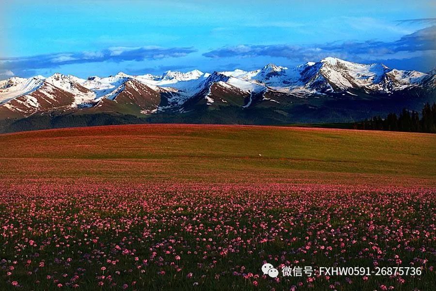 新藏线的海拔_新藏线海拨图_新藏线海拔表