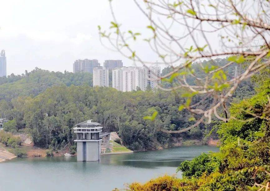 深圳梅林水库徒步路线_梅林水库徒步一圈要多少时间_深圳梅林水库自驾