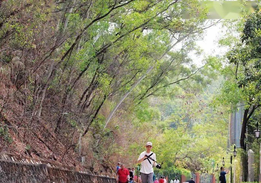 深圳梅林水库自驾_深圳梅林水库徒步路线_梅林水库徒步一圈要多少时间