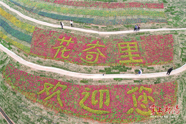 醉野山度假区_醉山野农家乐哪家好吃_醉山野度假村