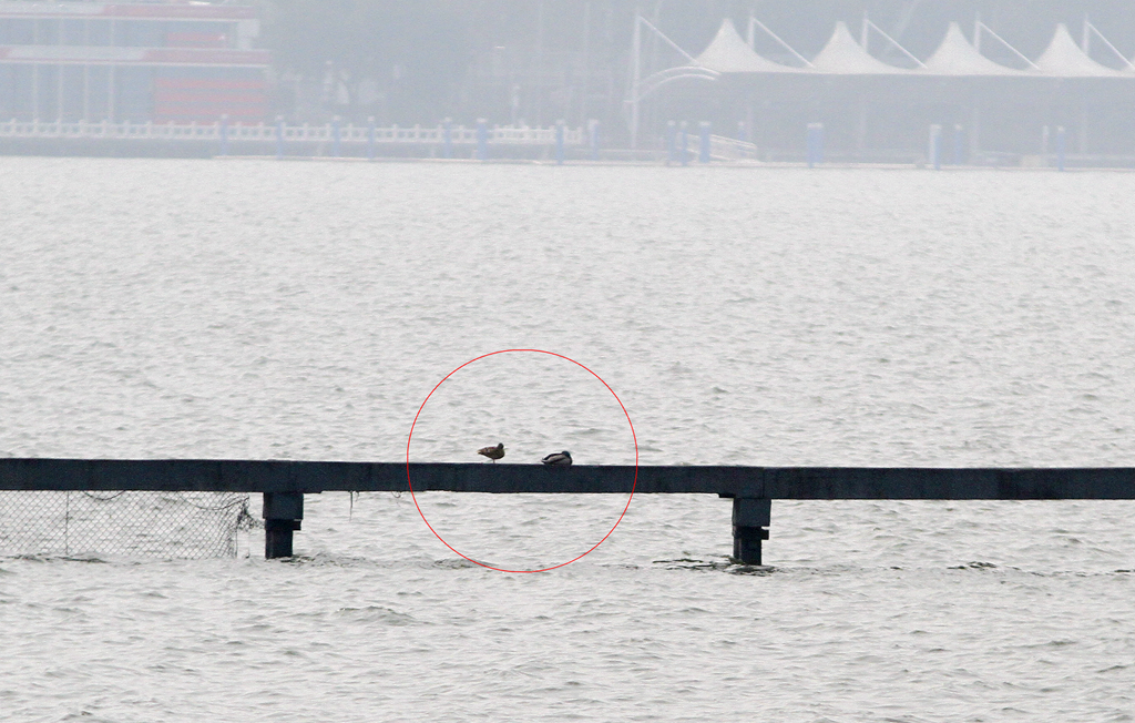 徒步线路东湖绿道怎么走_东湖绿道徒步线路_东湖绿道地图徒步