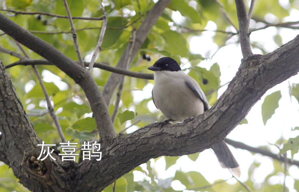 徒步线路东湖绿道怎么走_东湖绿道地图徒步_东湖绿道徒步线路