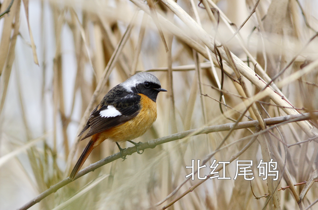 东湖绿道徒步线路_徒步线路东湖绿道怎么走_东湖绿道地图徒步