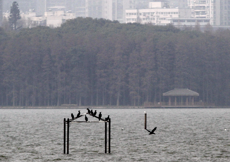 东湖绿道徒步线路_徒步线路东湖绿道怎么走_东湖绿道地图徒步