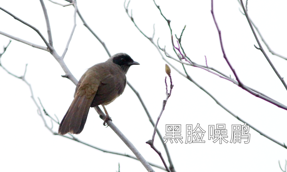 徒步线路东湖绿道怎么走_东湖绿道徒步线路_东湖绿道地图徒步