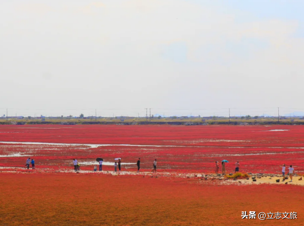 营口自驾游攻略_自驾攻略营口游最佳路线_营口自驾游路线