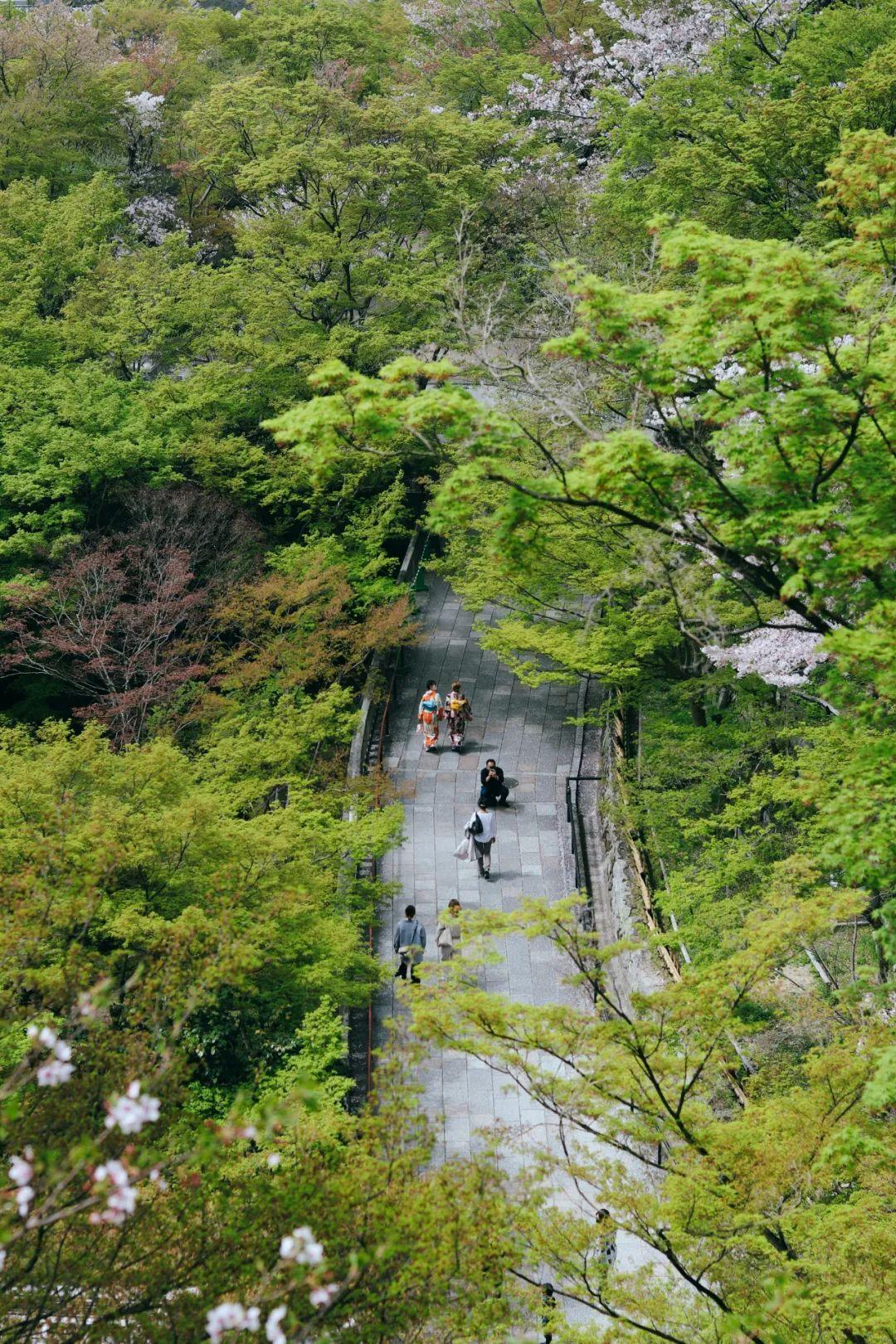 不踩雷指南！最具魅力的日本城市，20种推荐让你全方位玩得更深入