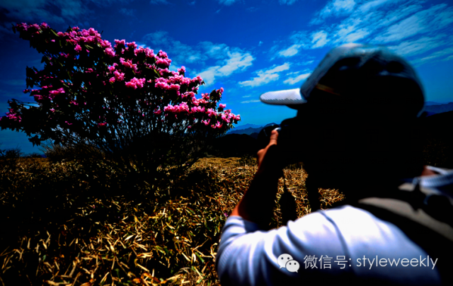 神农架小众景点_小神农架_神农架小说