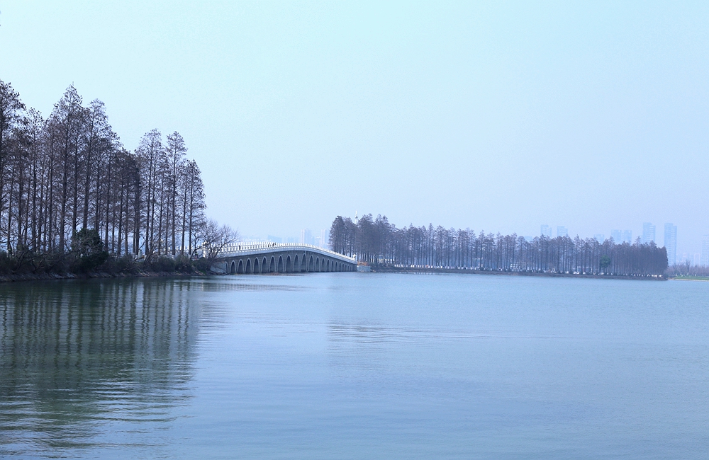 深圳东湖绿道入口在哪_深圳东湖公园绿道入口_深圳东湖绿道入口