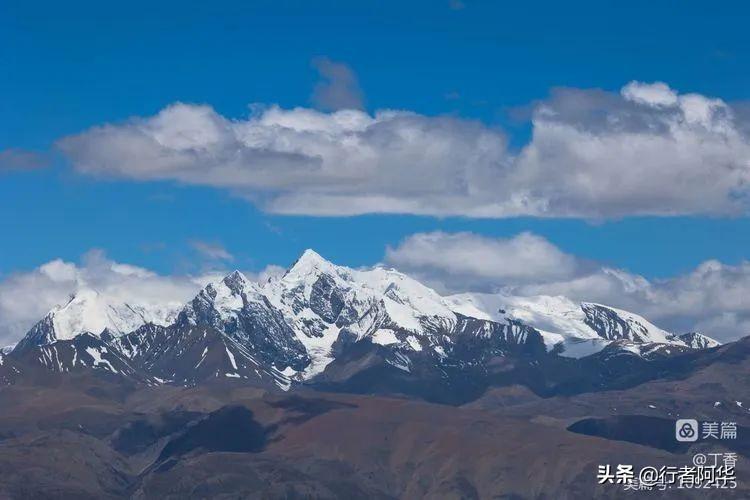 阿里北线大地之树_阿里北线大巴电话_阿里大北线多少公里