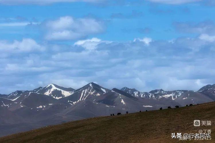 阿里大北线多少公里_阿里北线大地之树_阿里北线大巴电话