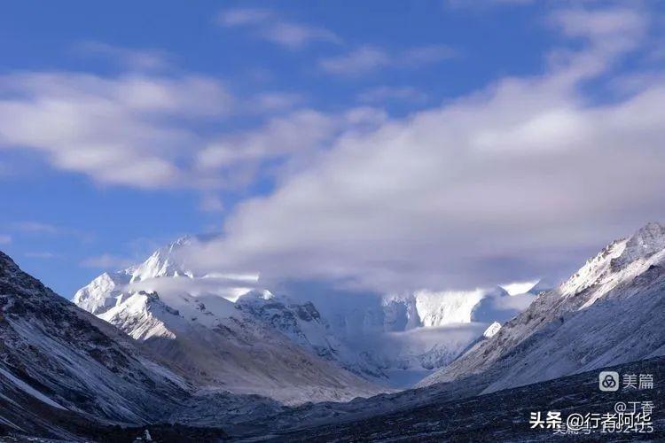 阿里北线大地之树_阿里北线大巴电话_阿里大北线多少公里