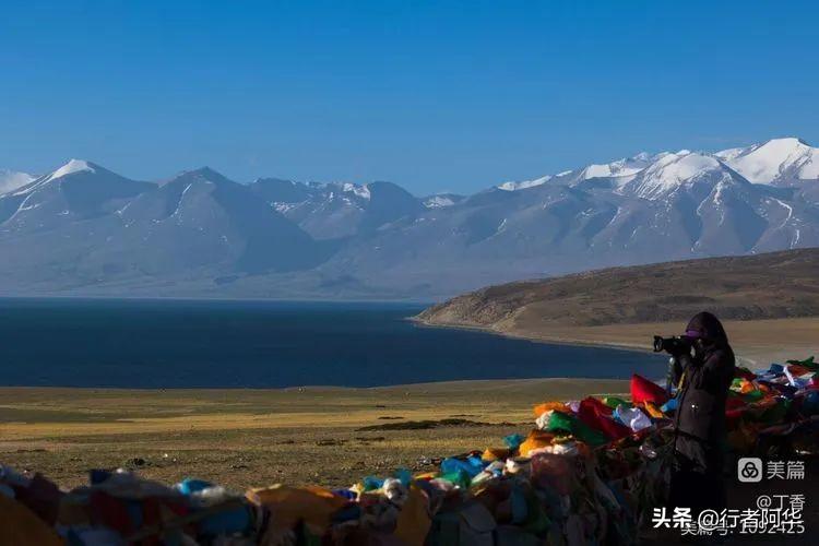 阿里北线大地之树_阿里北线大巴电话_阿里大北线多少公里