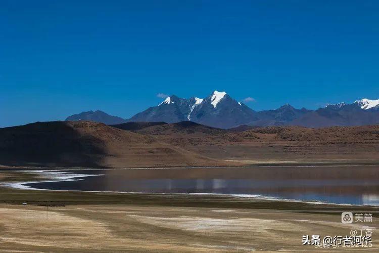 阿里北线大巴电话_阿里北线大地之树_阿里大北线多少公里