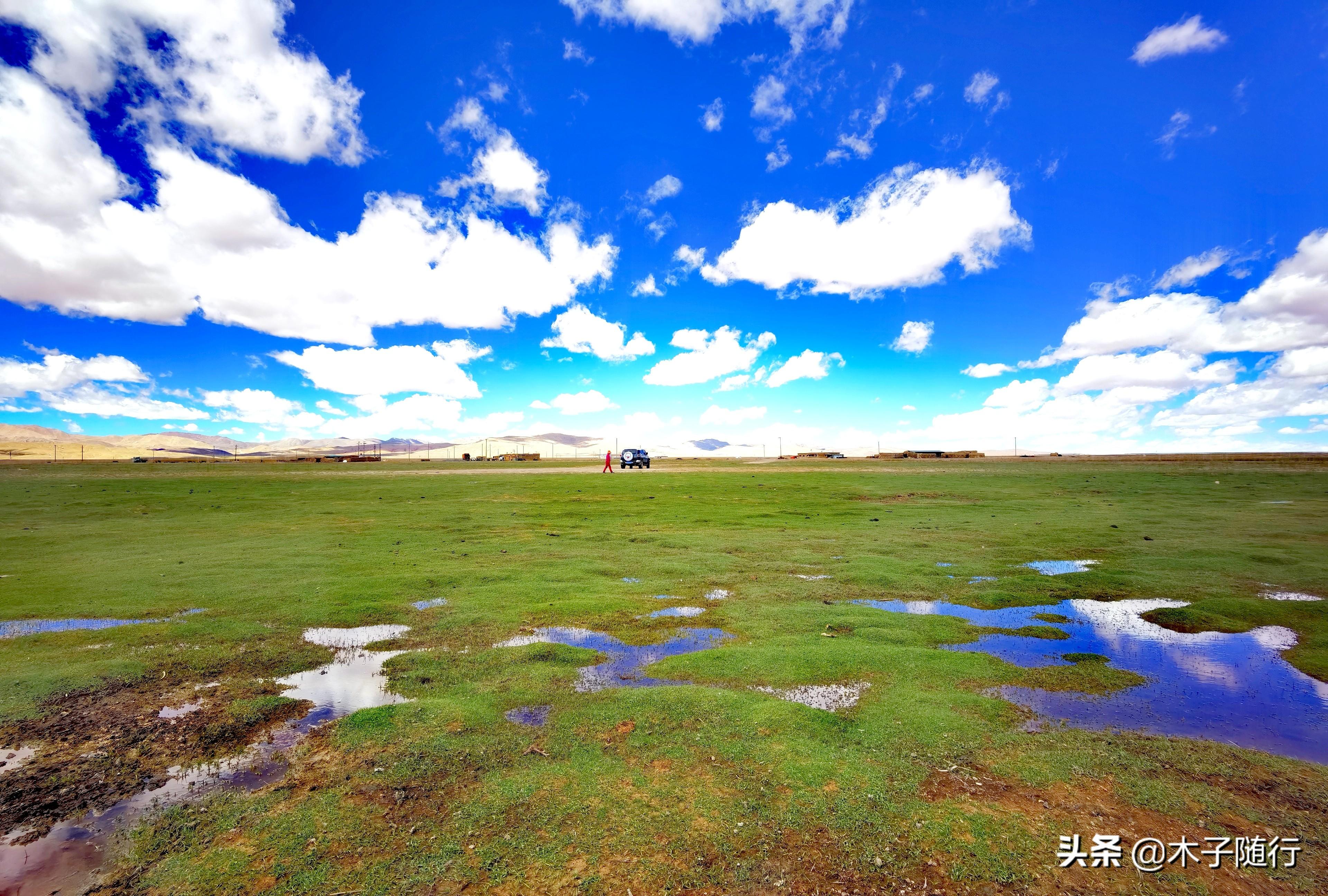 阿里北线大地之树_阿里大北线多少公里_阿里北线大环线多少公里