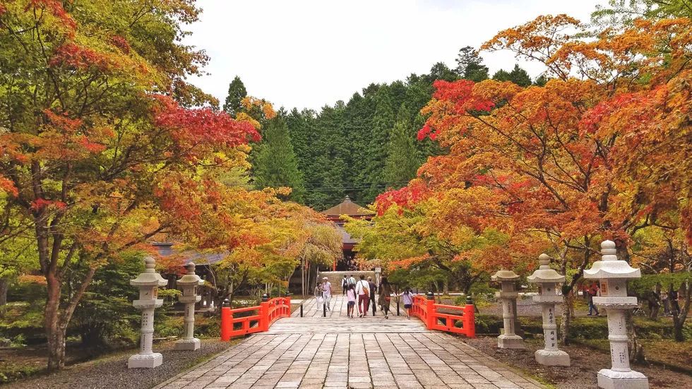 京都到大阪jr多少钱_大阪到京都_大阪离京都多远