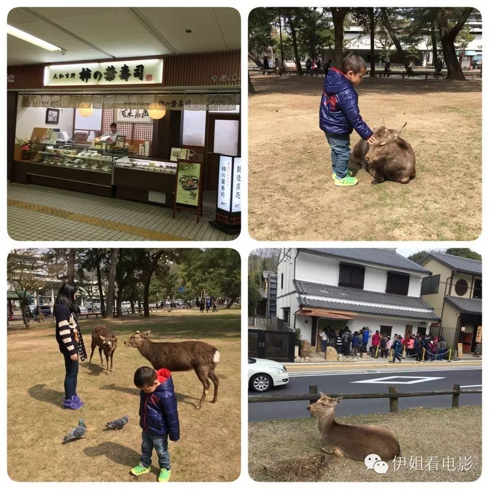 大阪到京都_日本京都到大阪_大阪到京都交通攻略