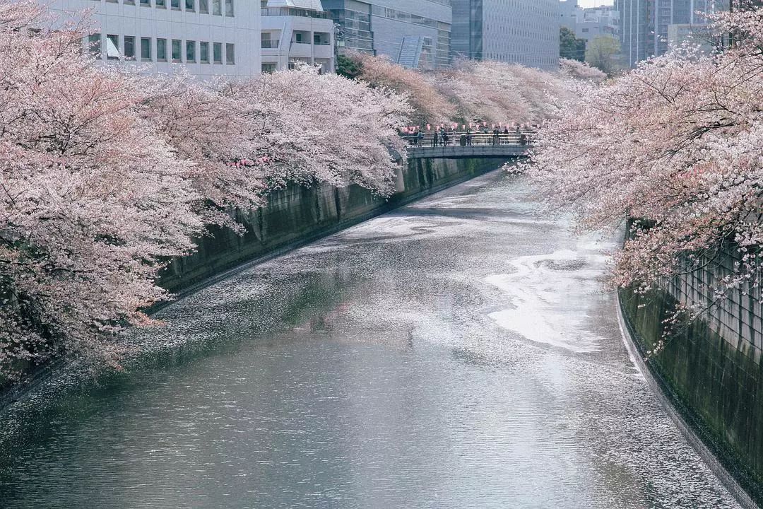 大阪到京都交通攻略_日本京都到大阪_大阪到京都