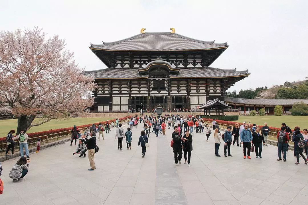 日本京都到大阪_大阪到京都交通攻略_大阪到京都