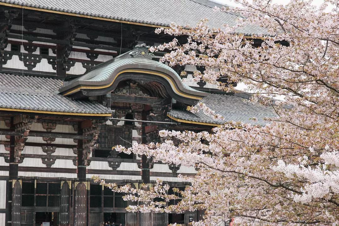 日本京都到大阪_大阪到京都_大阪到京都交通攻略