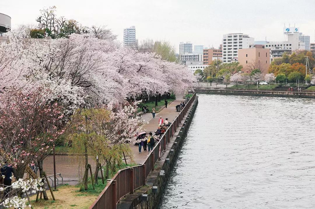 大阪到京都交通攻略_大阪到京都_日本京都到大阪