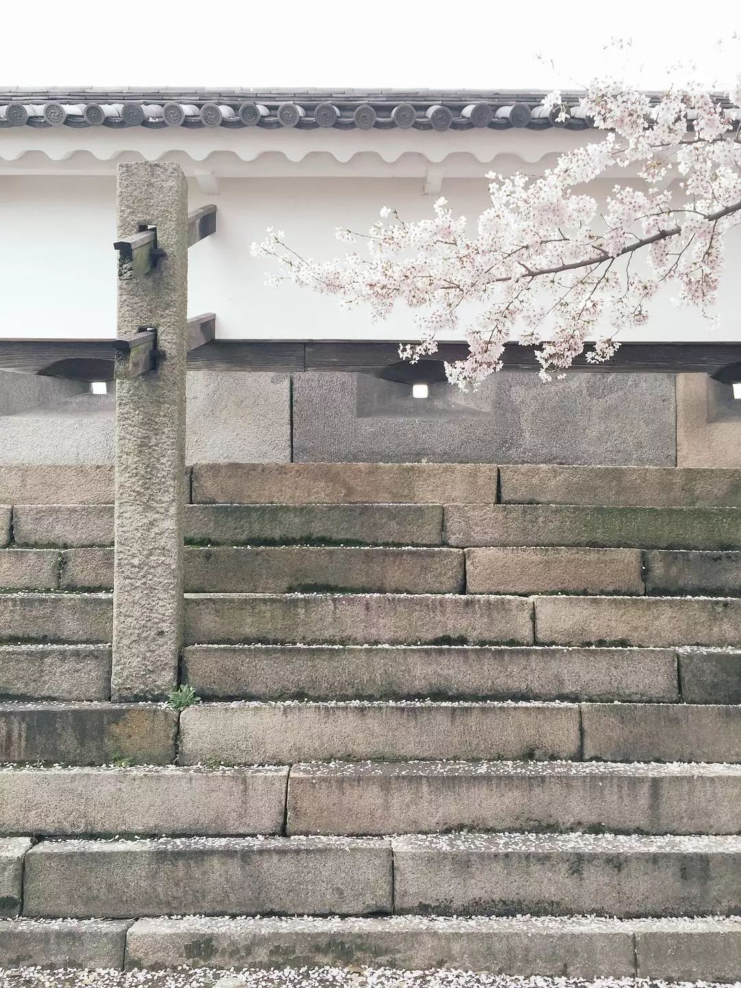 日本京都到大阪_大阪到京都交通攻略_大阪到京都