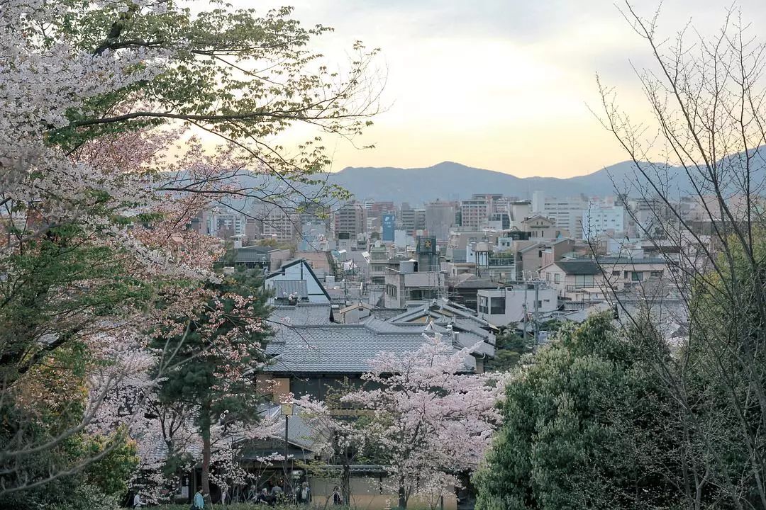 日本京都到大阪_大阪到京都交通攻略_大阪到京都