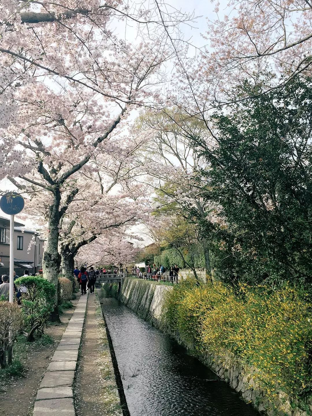 大阪到京都_日本京都到大阪_大阪到京都交通攻略