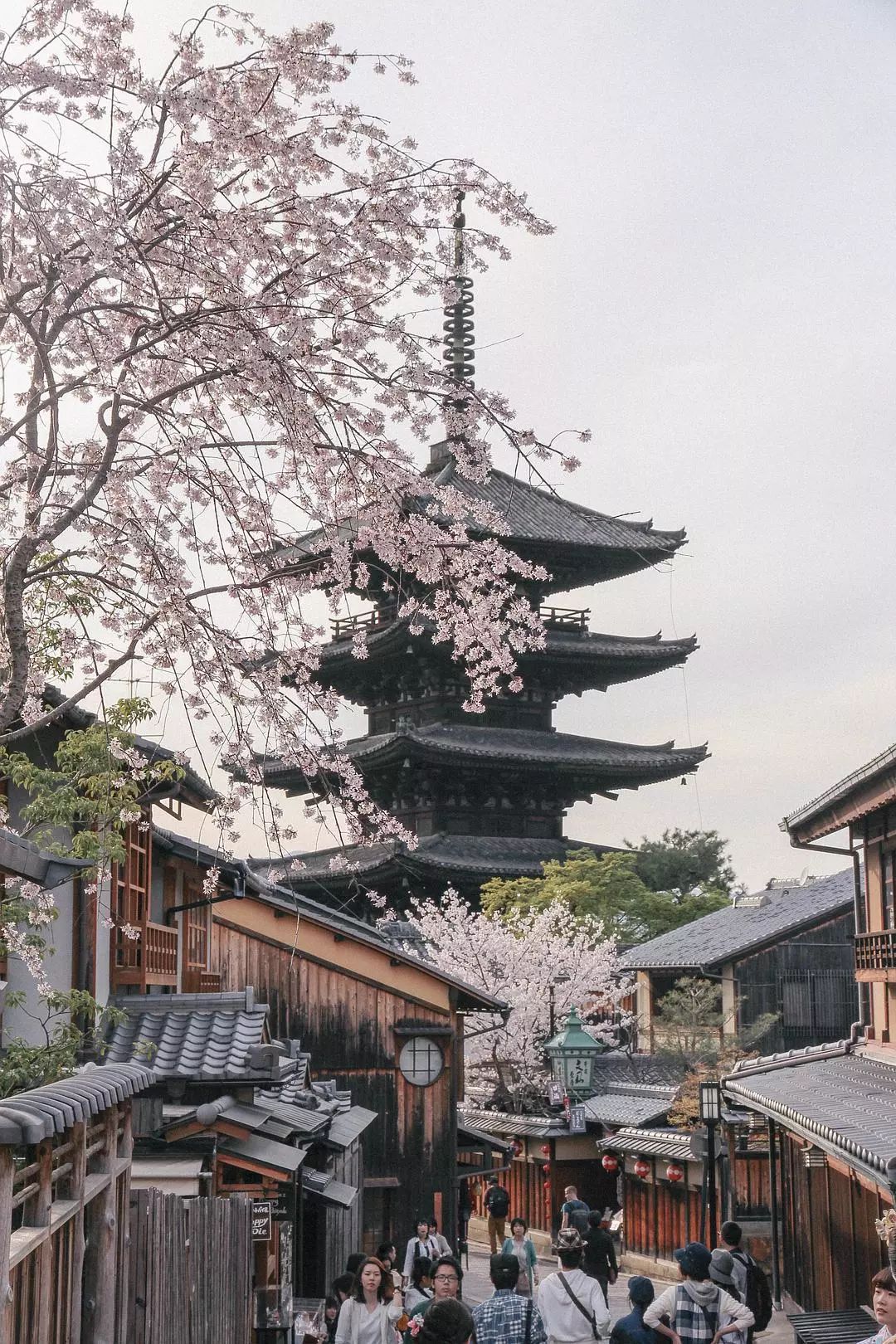 日本京都到大阪_大阪到京都交通攻略_大阪到京都