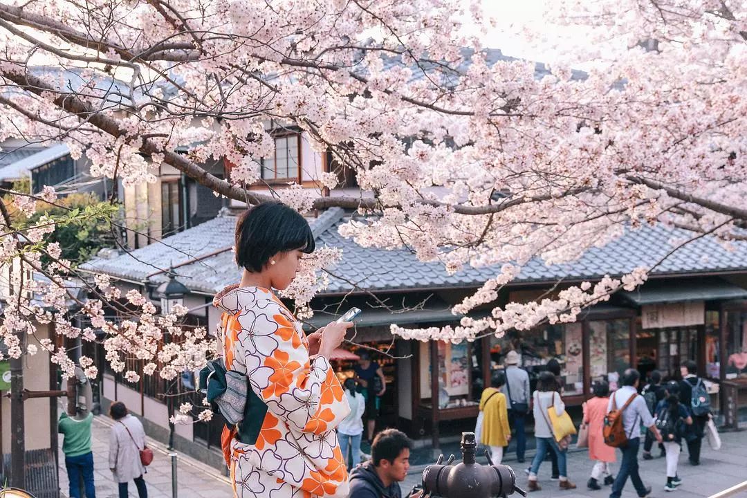 日本京都到大阪_大阪到京都交通攻略_大阪到京都