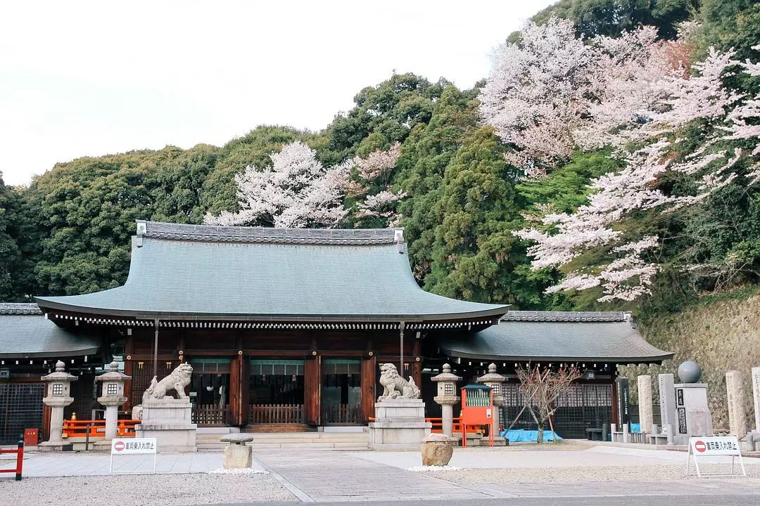 日本京都到大阪_大阪到京都交通攻略_大阪到京都