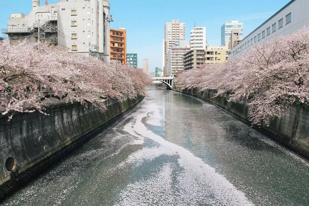 大阪到京都交通攻略_日本京都到大阪_大阪到京都