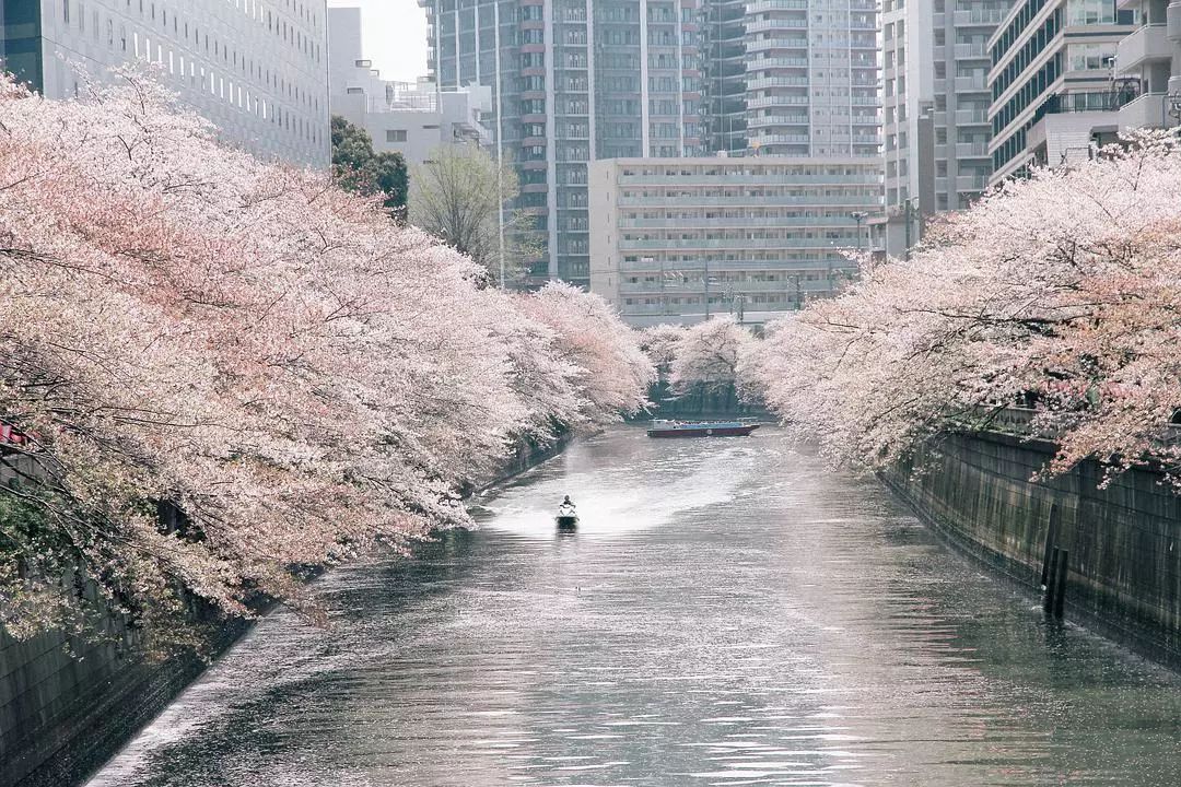 日本京都到大阪_大阪到京都交通攻略_大阪到京都